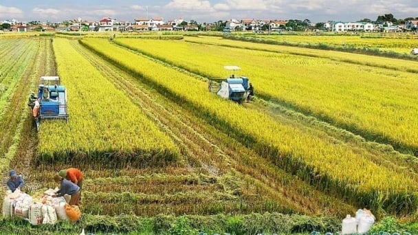 80 years of land management: Policy reforms for three agricultural areas